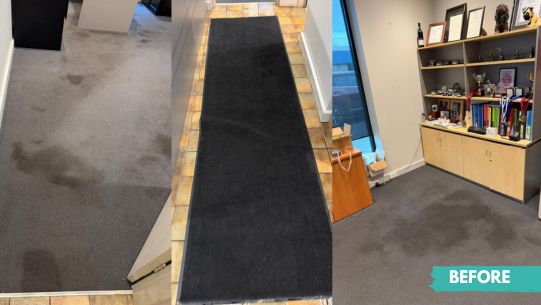 Carpet Steam Cleaning Before